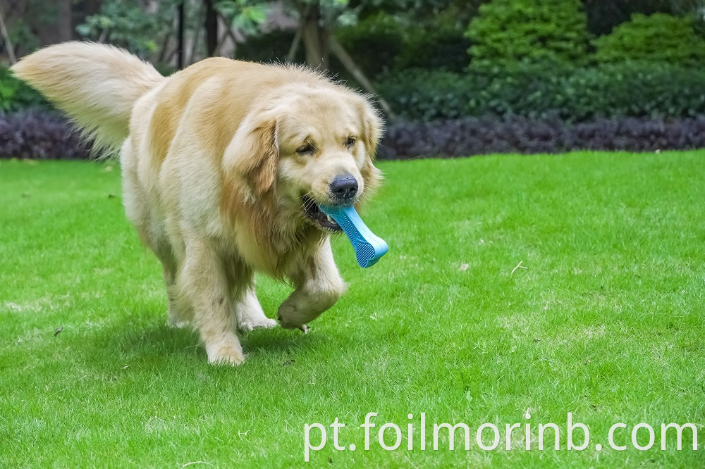 Dog Toys Bone Squeaky